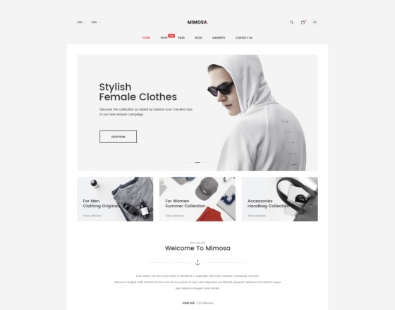 Mimosa - Modern Fashion WooCommerce WordPress Theme