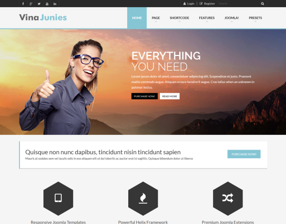 Vina Junies - Responsive Corporate Joomla 3.x Template