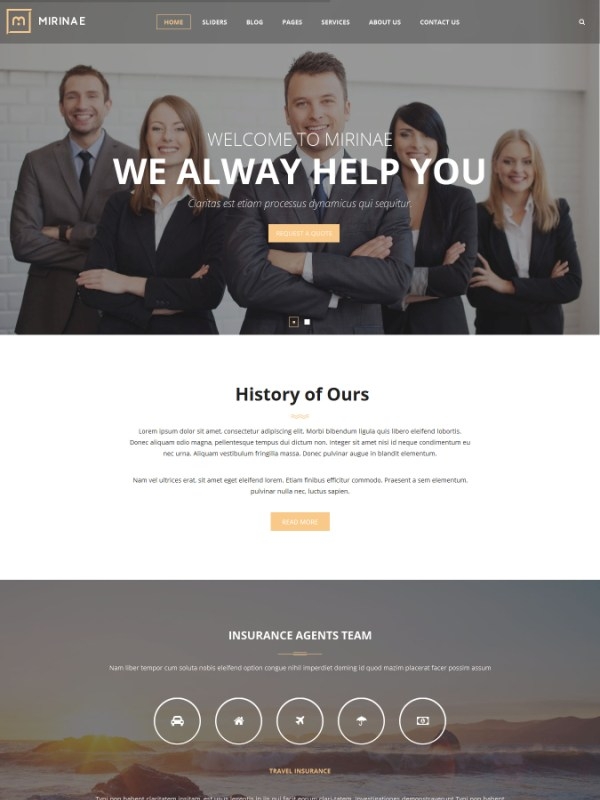 VG Mirinae - WordPress Insurance Agency Theme